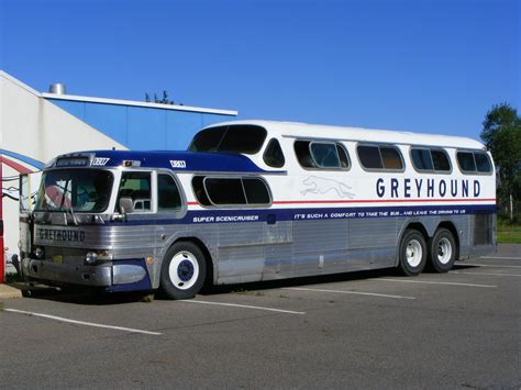 greyhound csgo|greyhound bus usa.